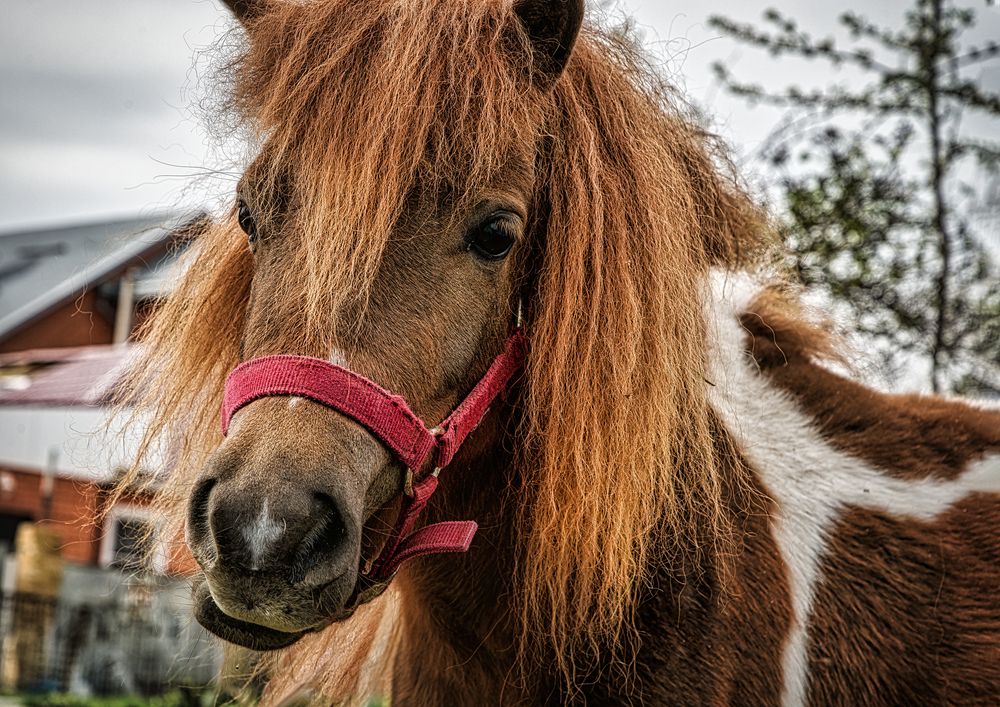 Photograph by Владимир Кваша