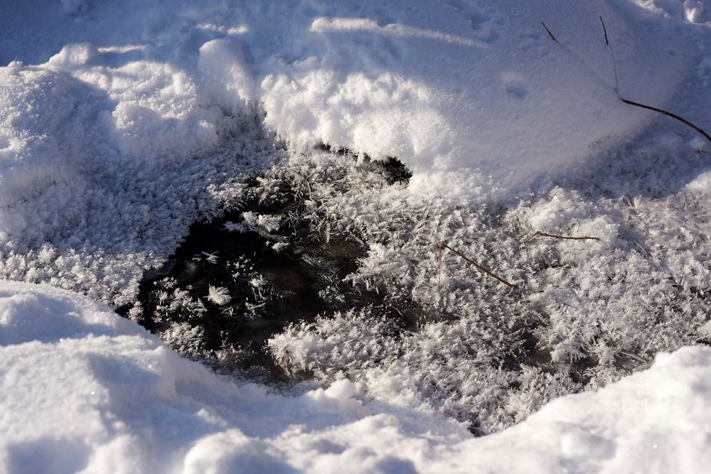 Photograph by Михаил Рогачев