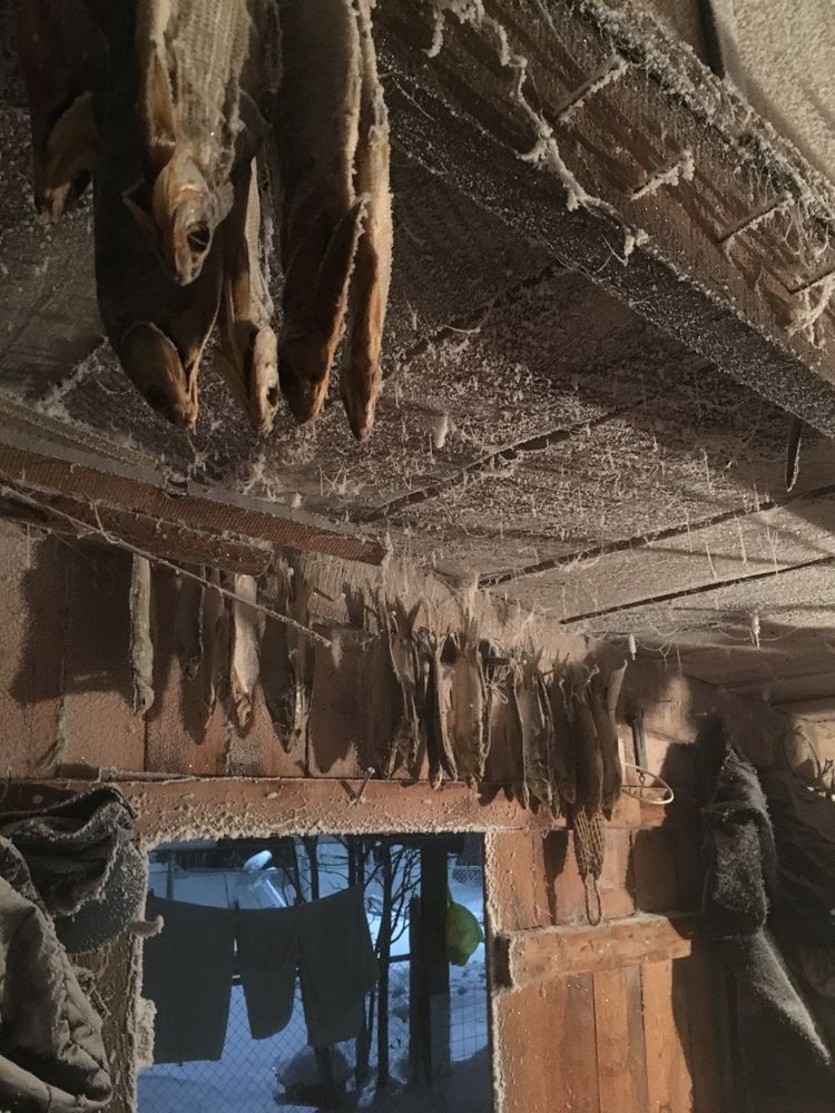 Photograph by Шестакова Елена