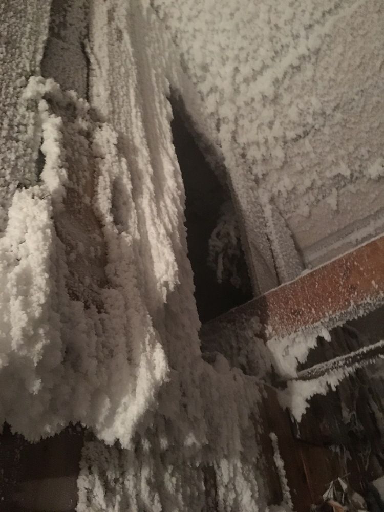 Photograph by Шестакова Елена