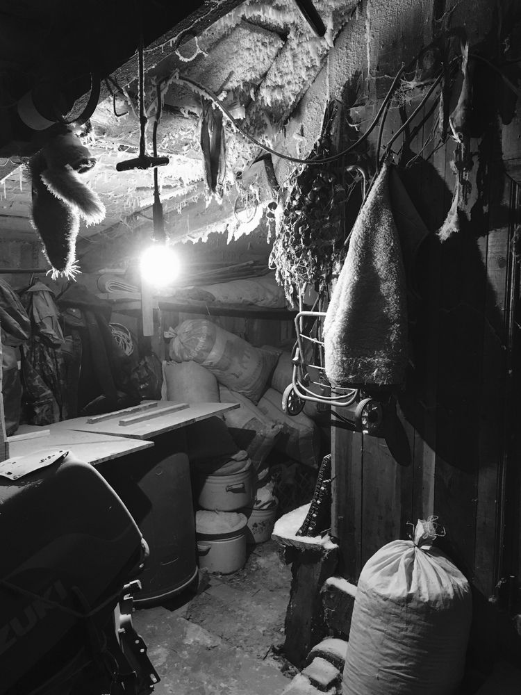 Photograph by Шестакова Елена