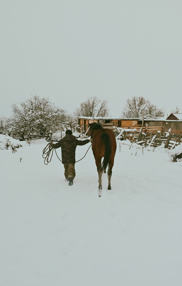 Photograph by Елена Пихурова