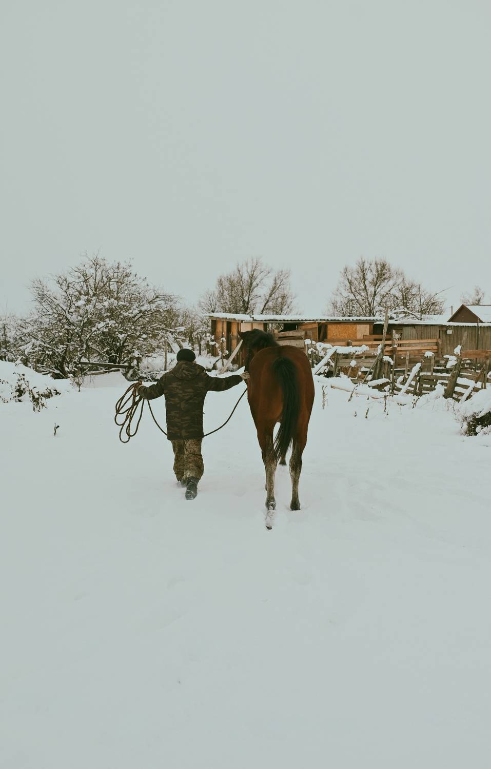 Photo #13032739