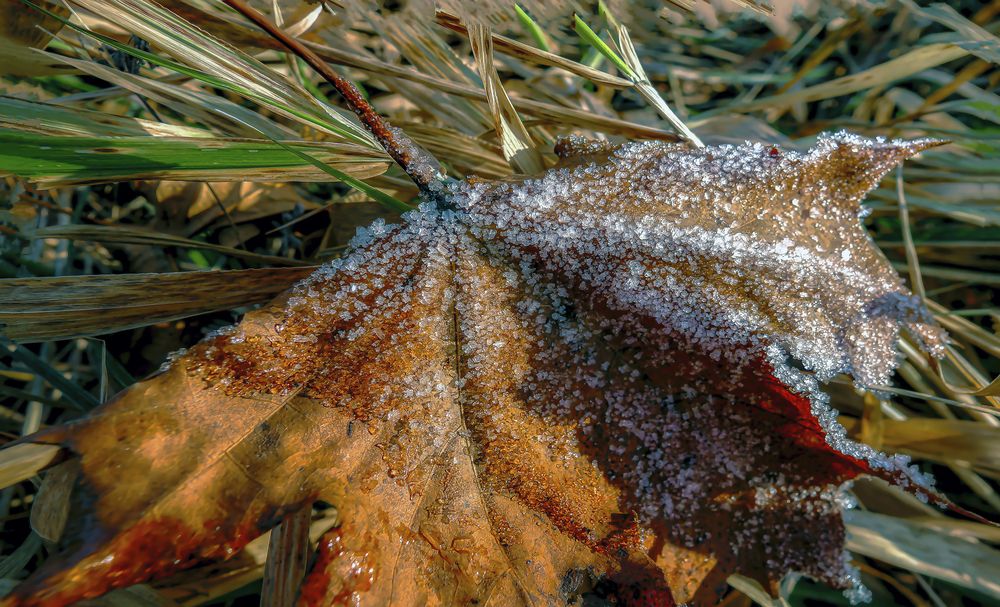 Первый иней.
