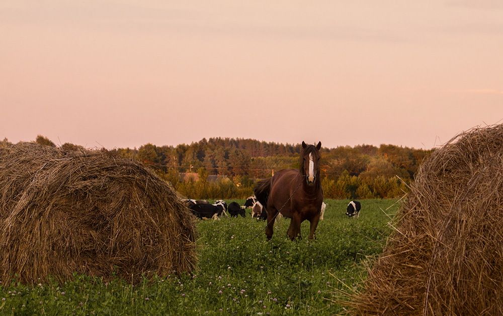Фотография автора Борис Журавлёв