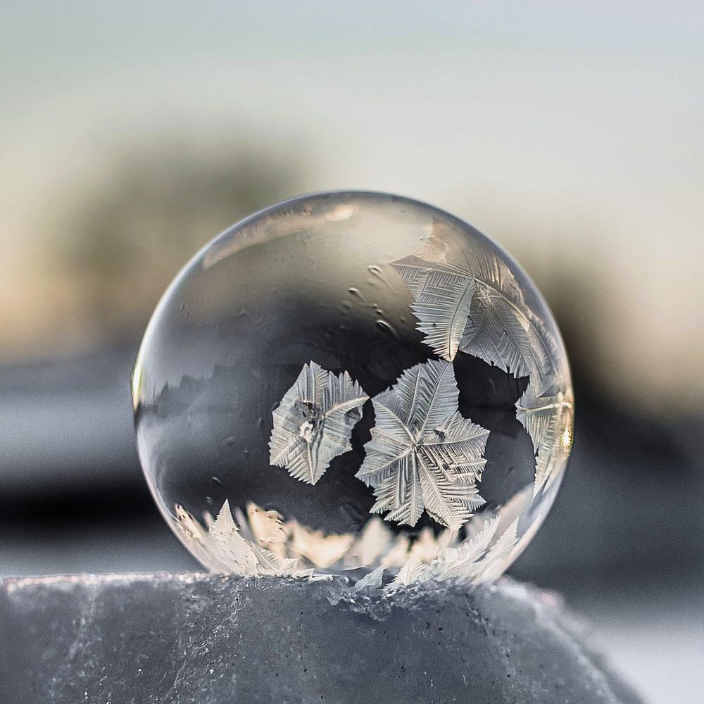 Photograph by Людмила Прибылова