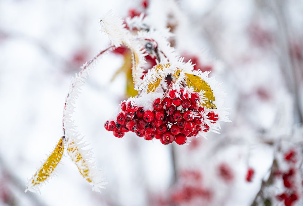 Photograph by Tanzilya Gabidullina