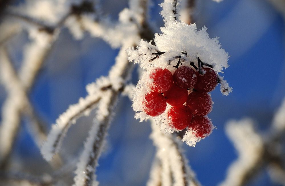 Photograph by Андрей Куликов