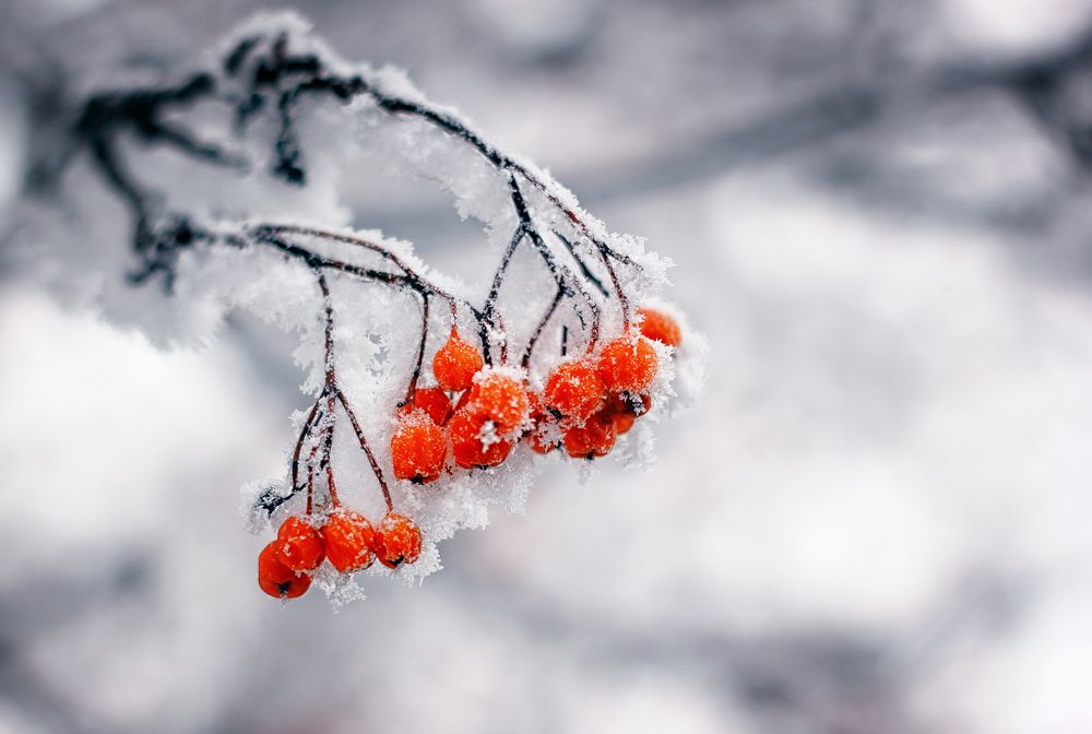 Photograph by Анна Киселёва