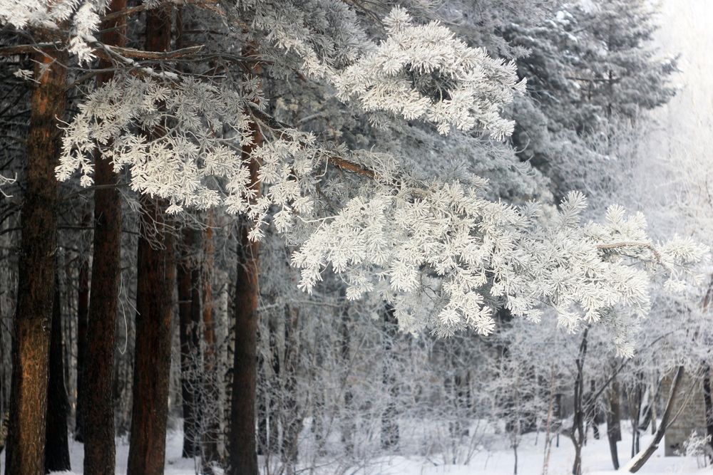 Photograph by Анна Киселёва