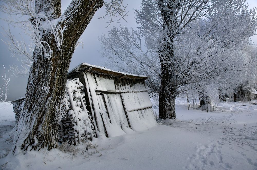 Photograph by EVGENY FADIN