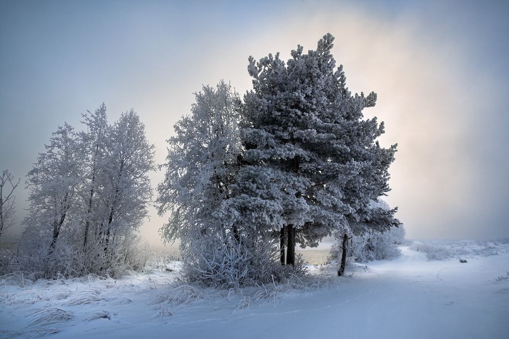 Photograph by EVGENY FADIN