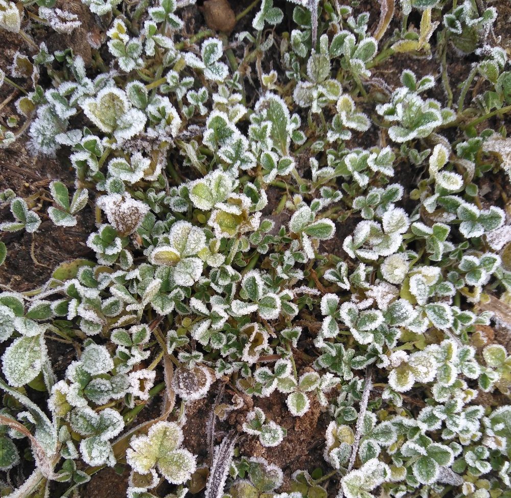 Photograph by Владимир Малёшин