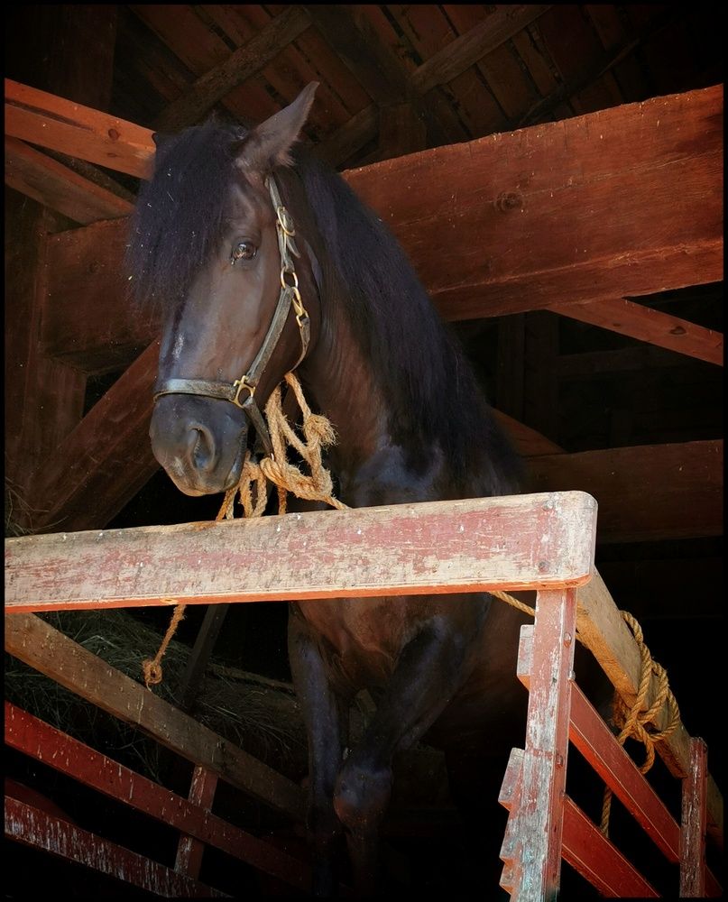 Фотография автора Veremeyeva Marina