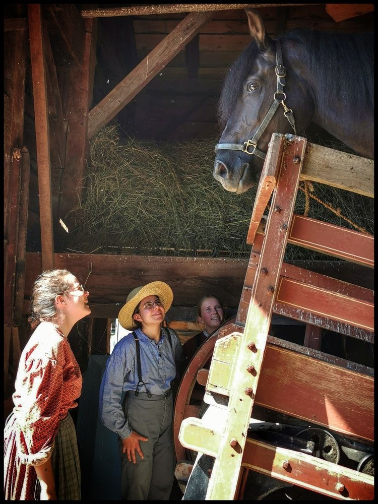 Фотография автора Veremeyeva Marina