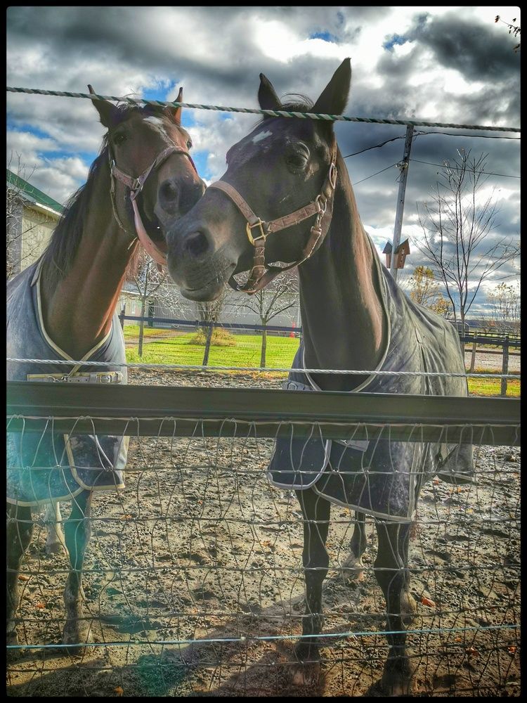 Фотография автора Veremeyeva Marina