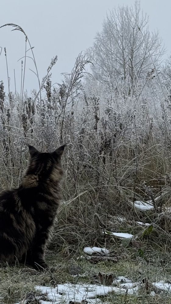 Photograph by Ирина Антипова