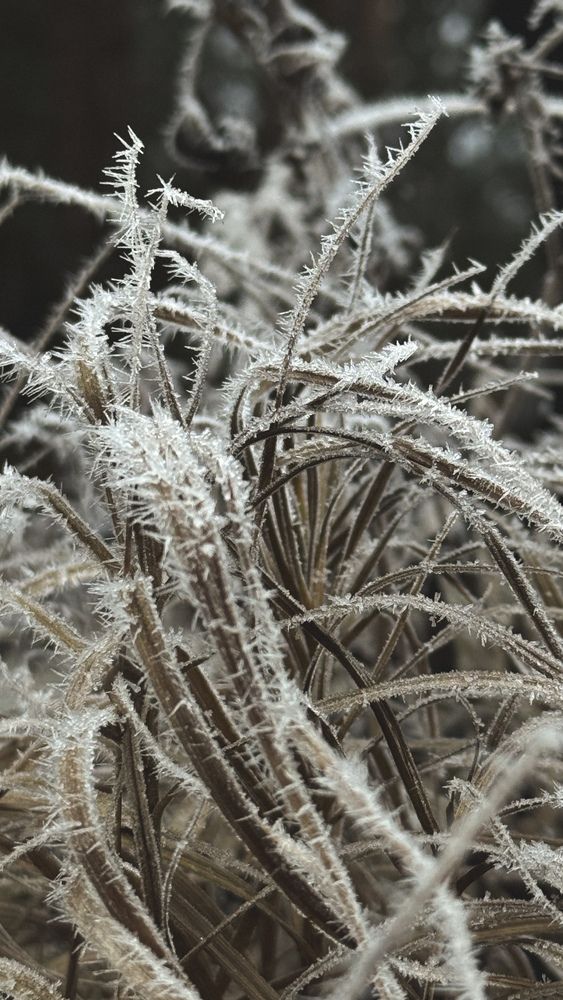 Photograph by Ирина Антипова