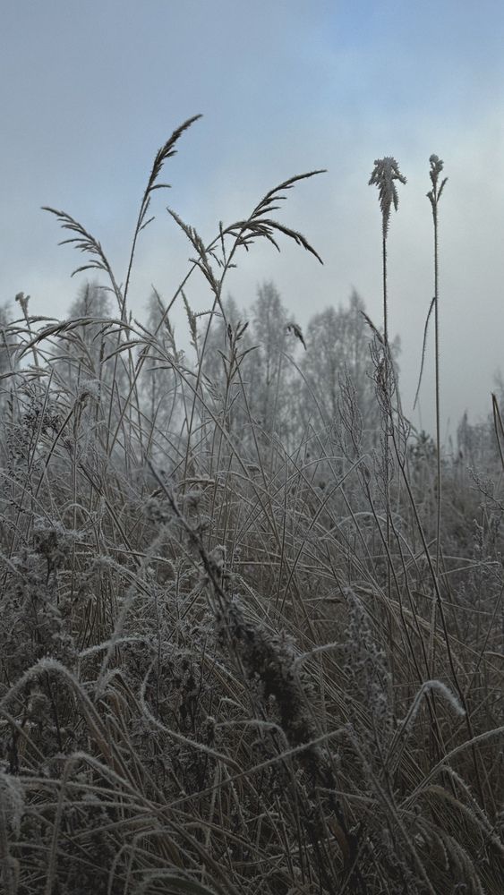 Photograph by Ирина Антипова