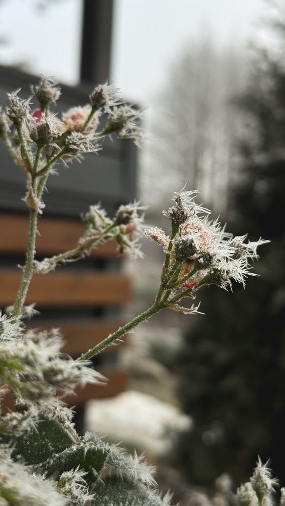 Photograph by Ирина Антипова