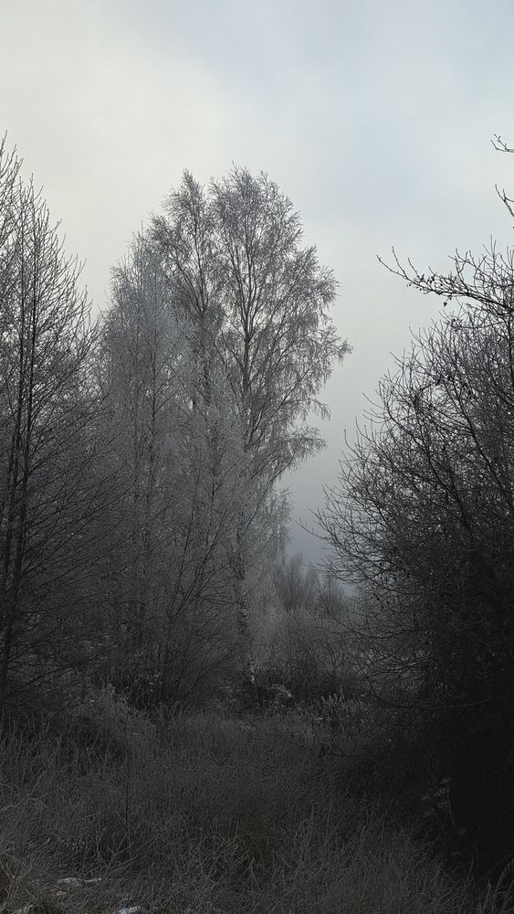 Photograph by Ирина Антипова