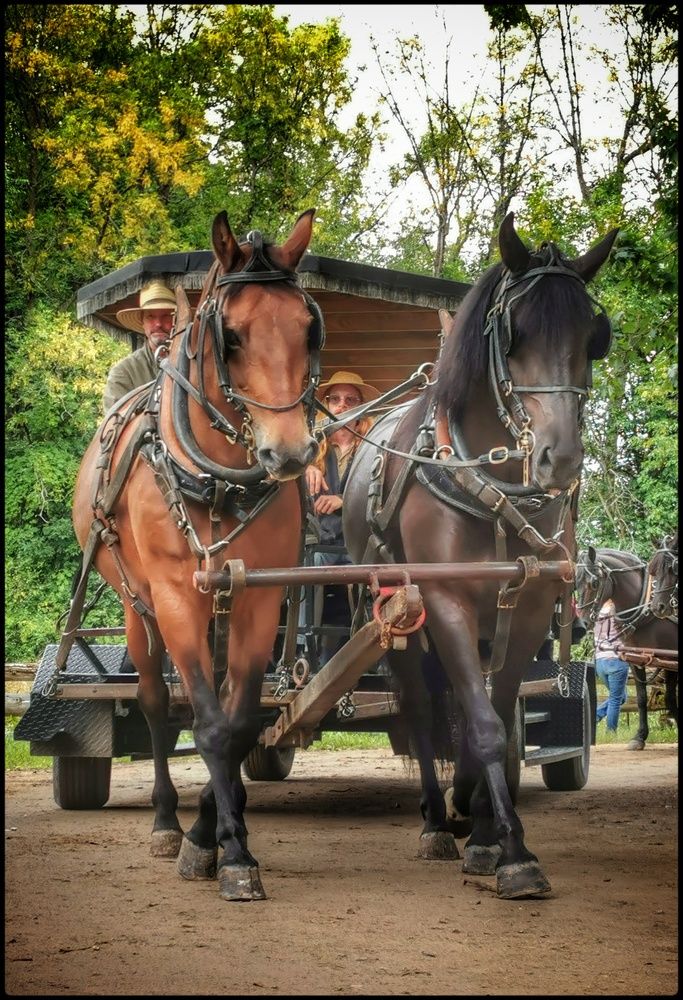 Фотография автора Veremeyeva Marina
