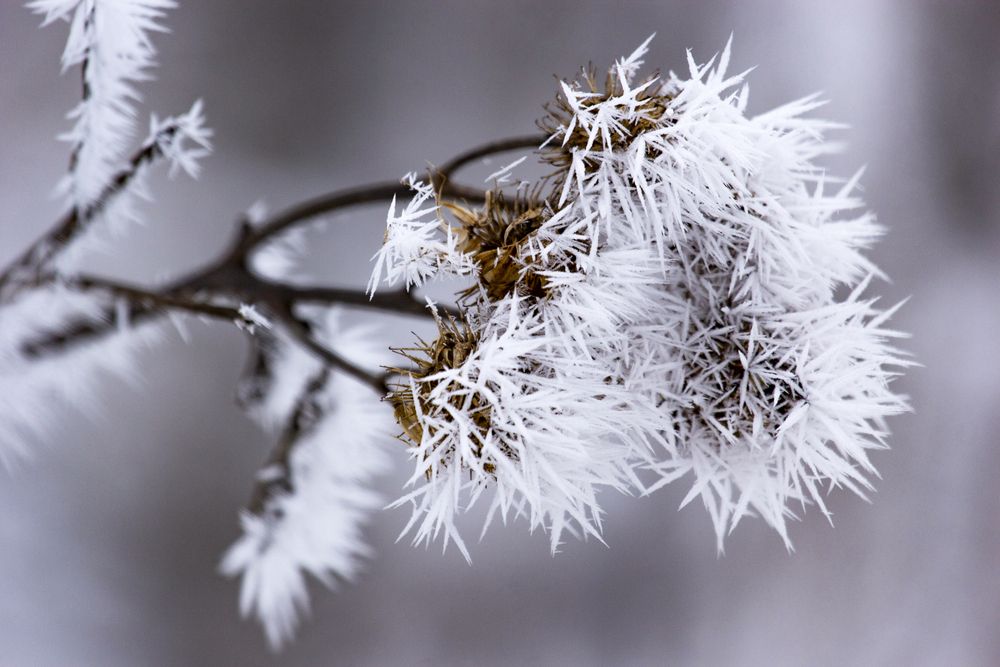 Photograph by Артур Павловский
