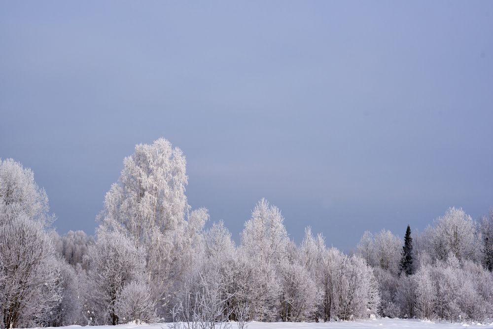 Photograph by Михаил Рогачев
