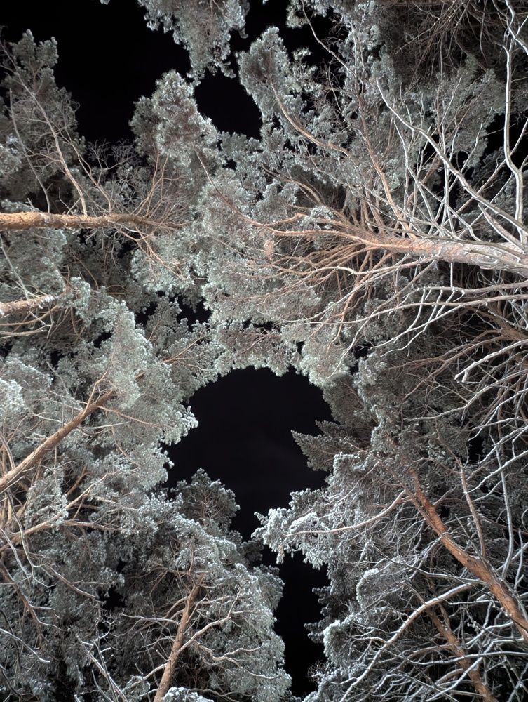 Photograph by Марина Пфенинг