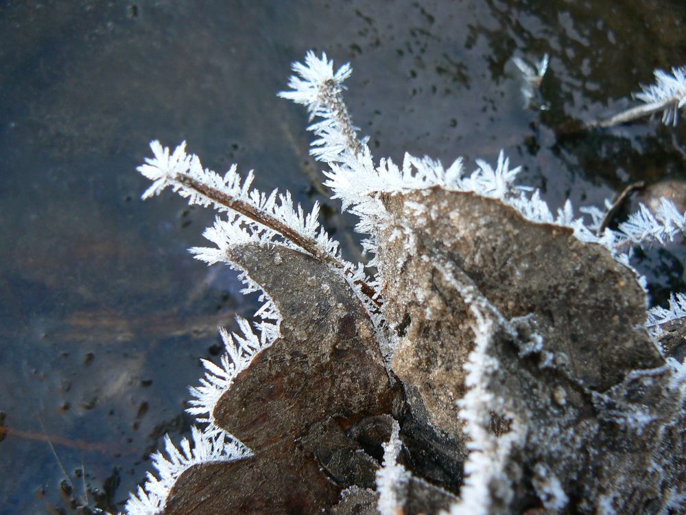 Photograph by Алексей Борисов