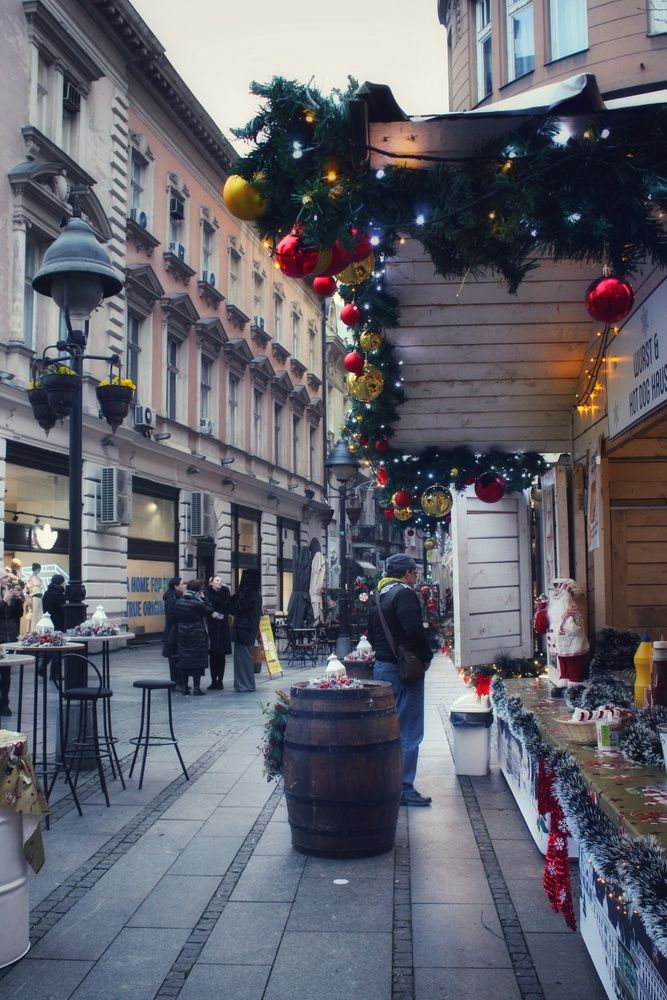 Фотография автора JELENA VASIC