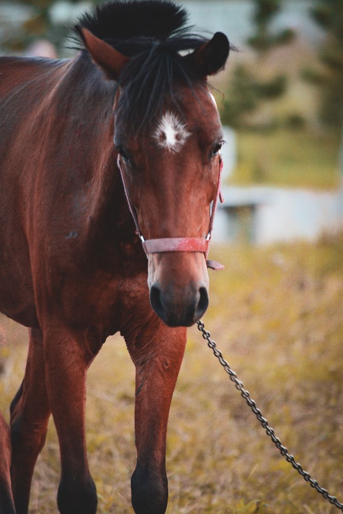 Photograph by Игорь Блинов