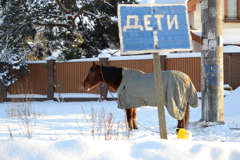 Photograph by Игорь Блинов