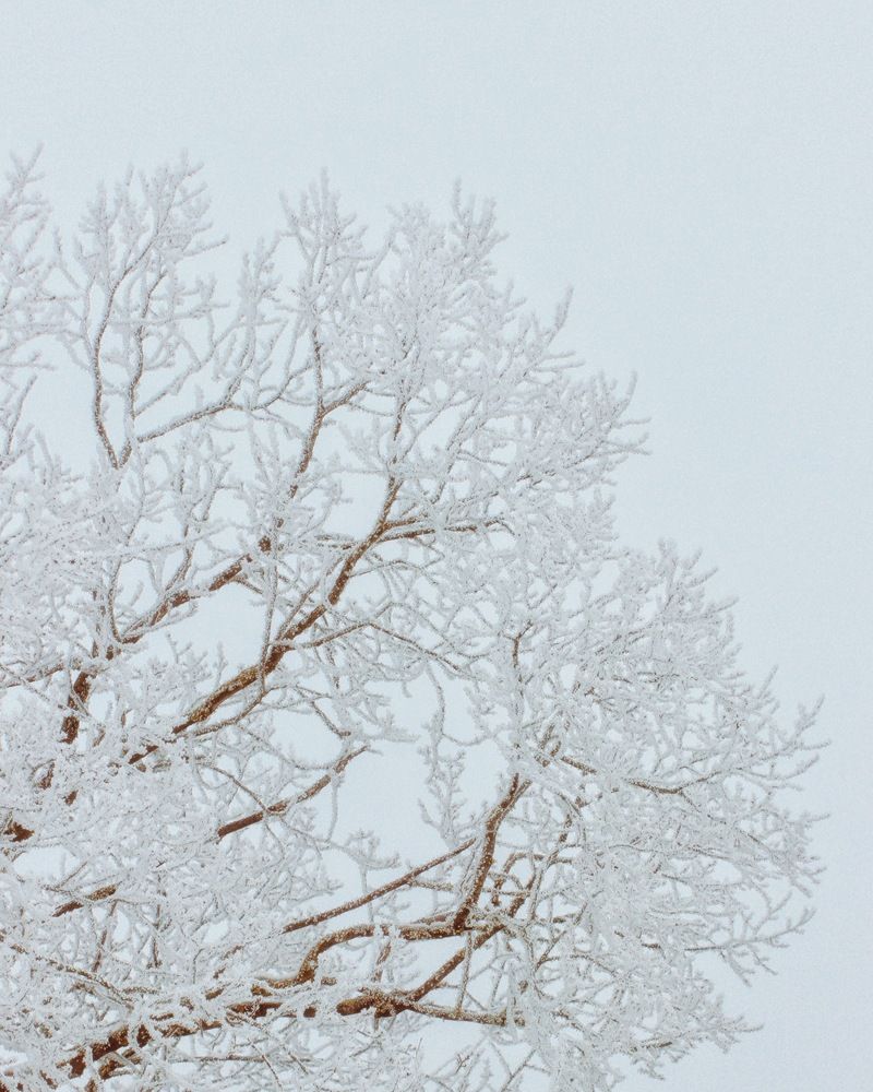 Фотография автора Евгения Никишина