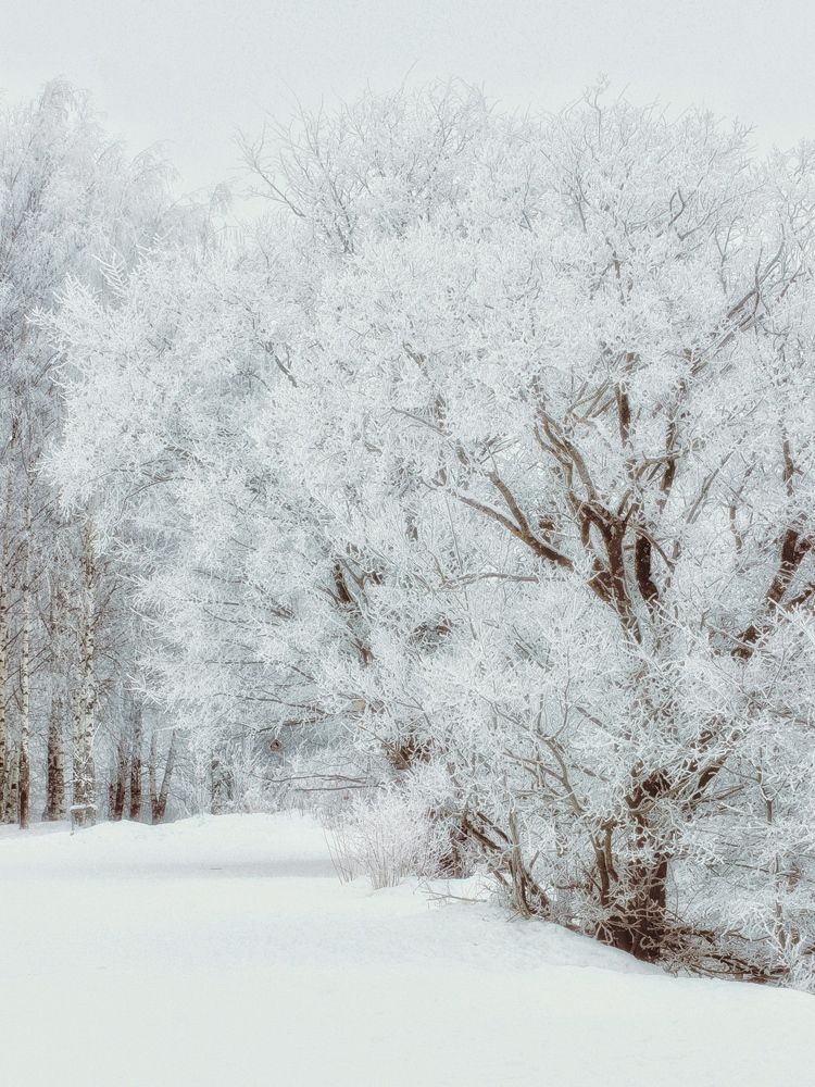 Фотография автора Евгения Никишина