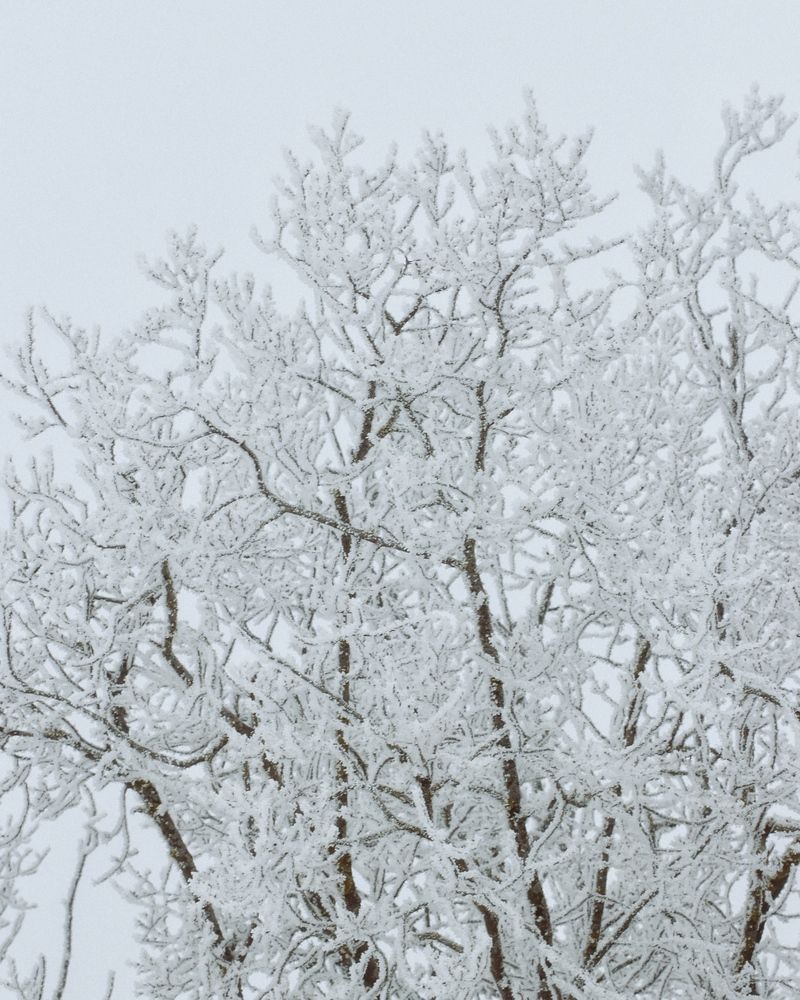 Фотография автора Евгения Никишина