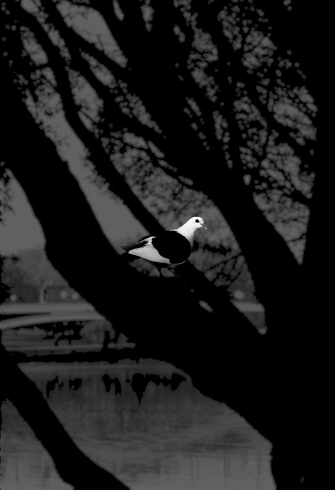 Photograph by Александра Куроедова