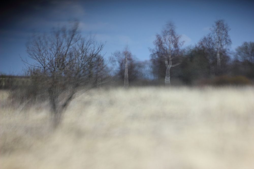 Фотография автора Алексей Соколов