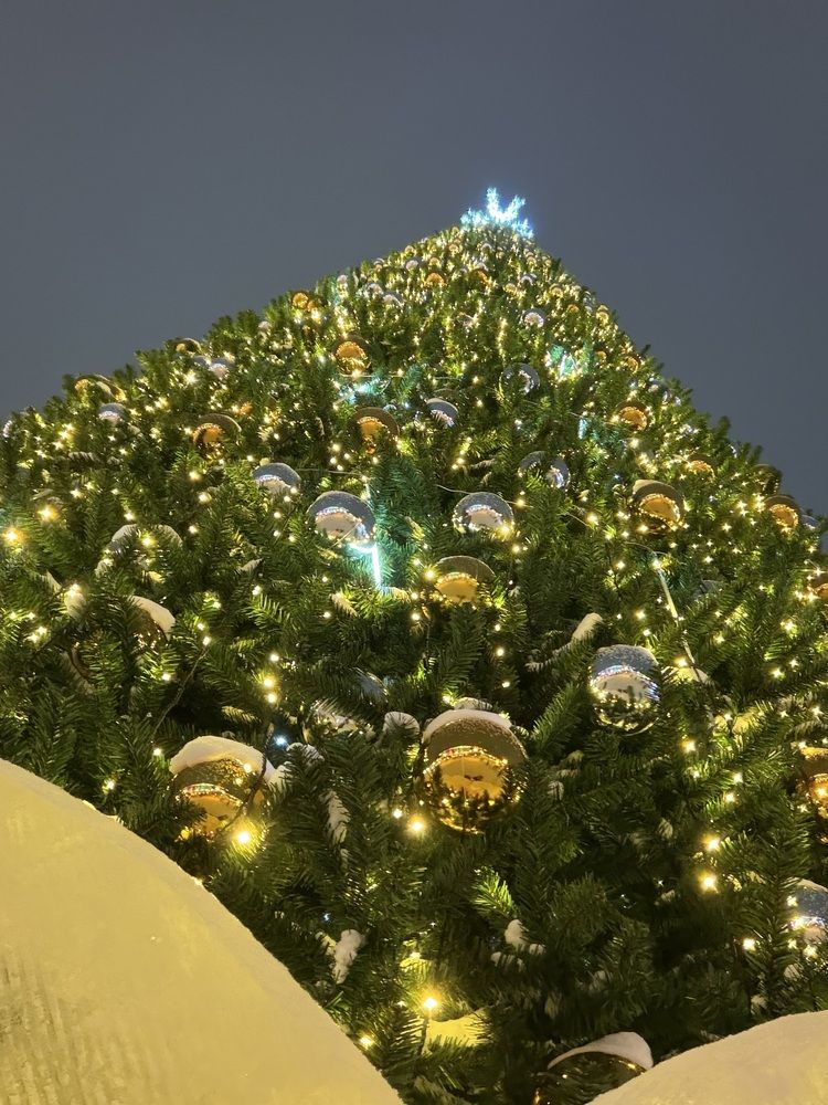 Photograph by Елена Мусина