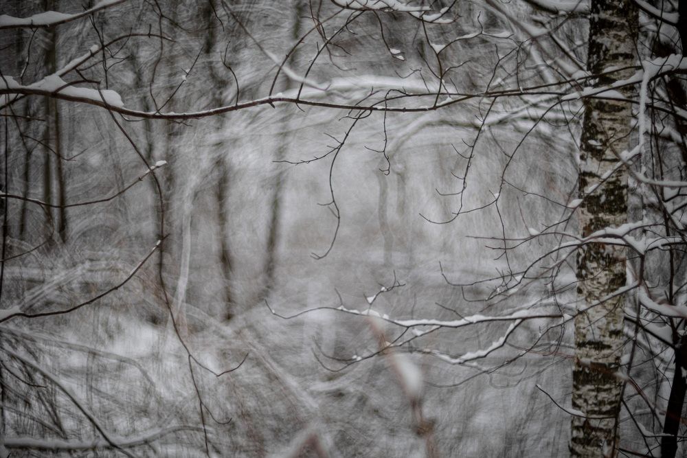 Photograph by Алексей Кацан