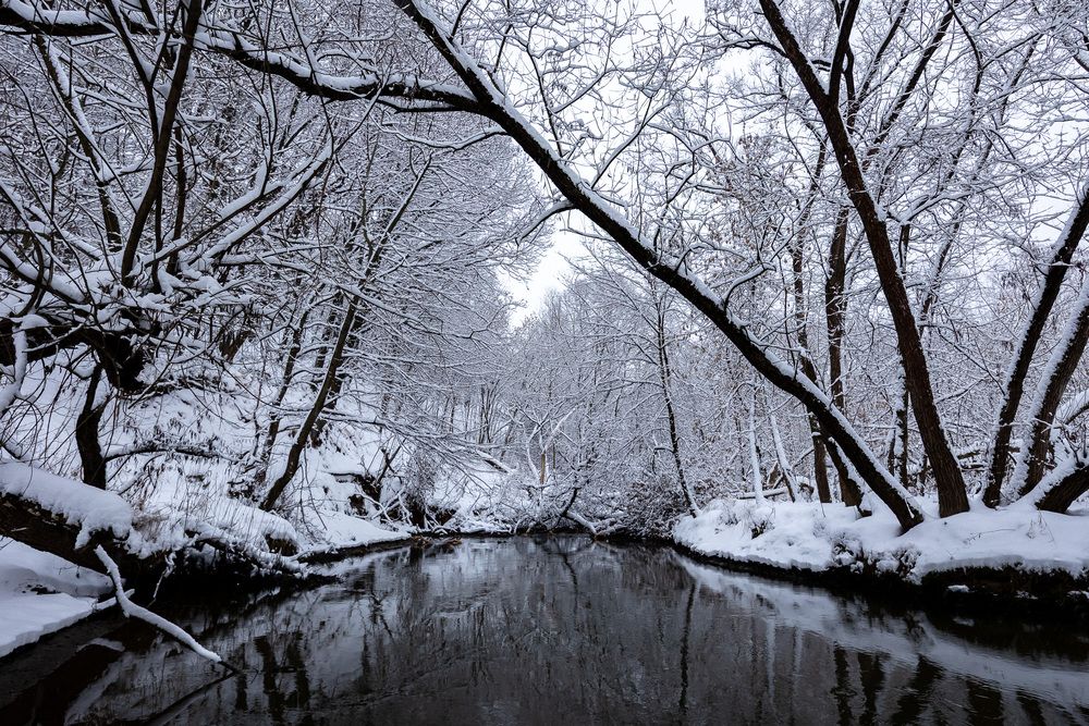 Photograph by Алексей Кацан