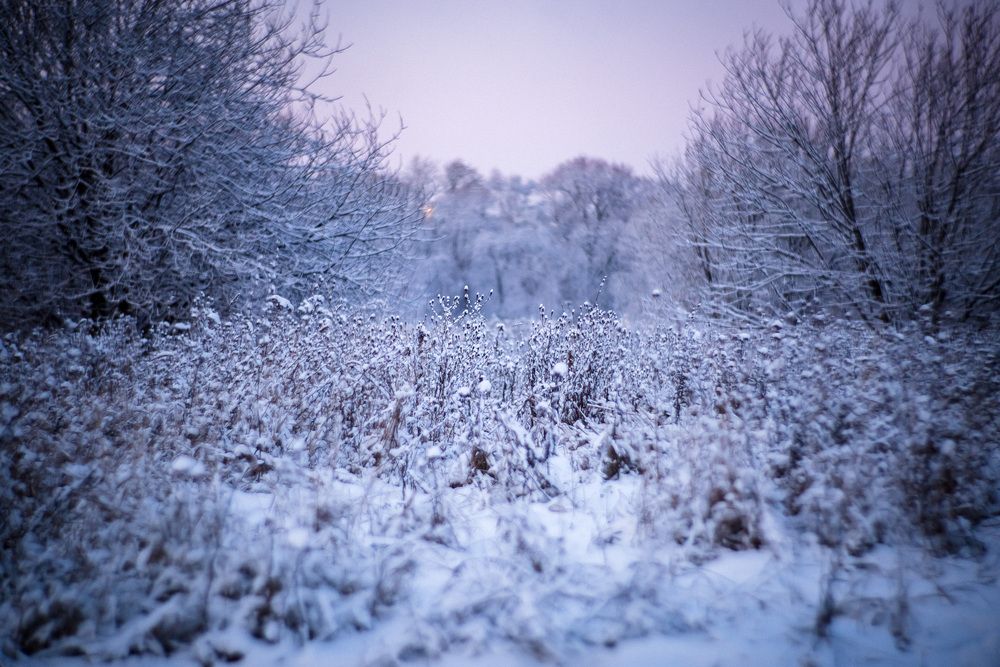 Photograph by Алексей Кацан