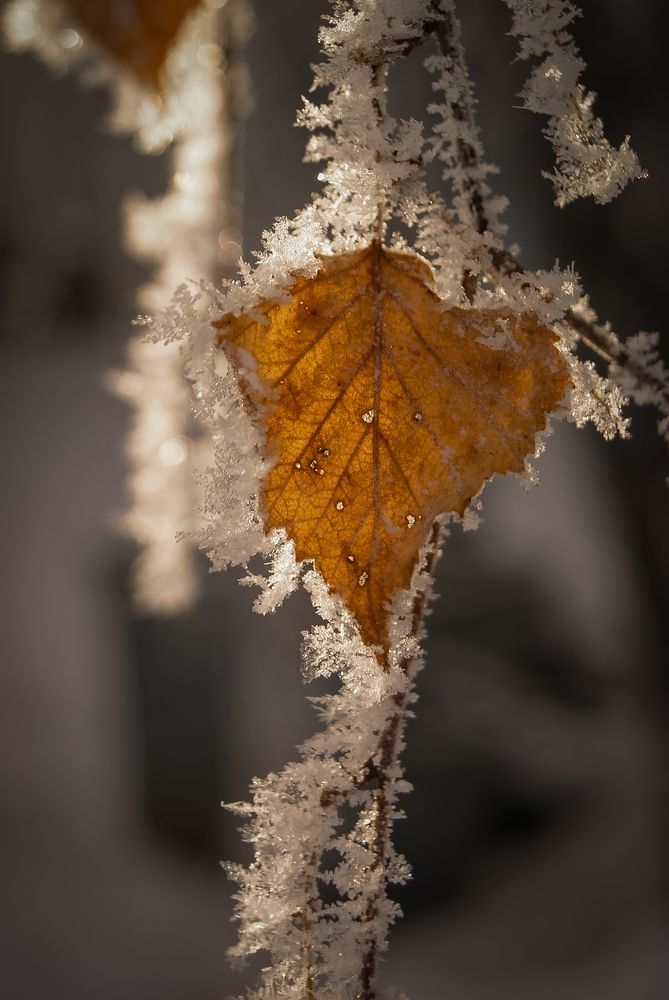 Photograph by Анна Панова