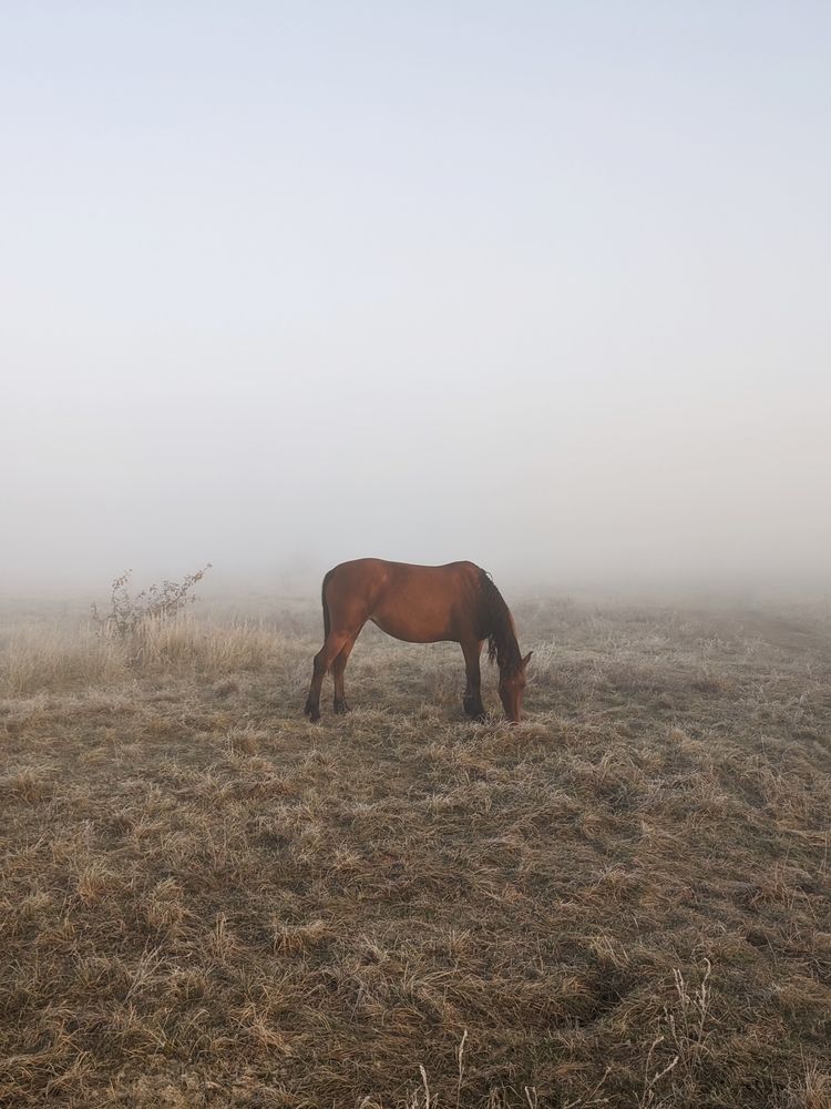 Photograph by Владимир Заборонок