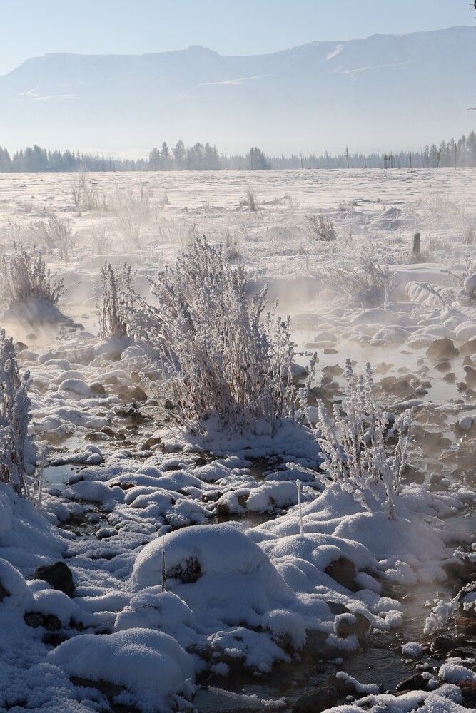Морозное утро.