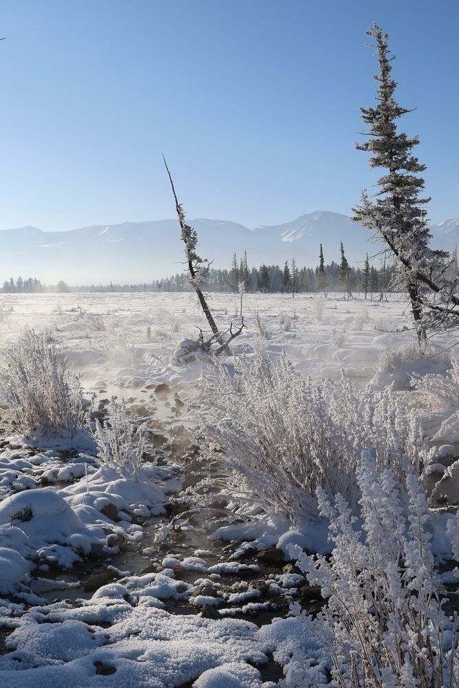Здесь птицы не поют.