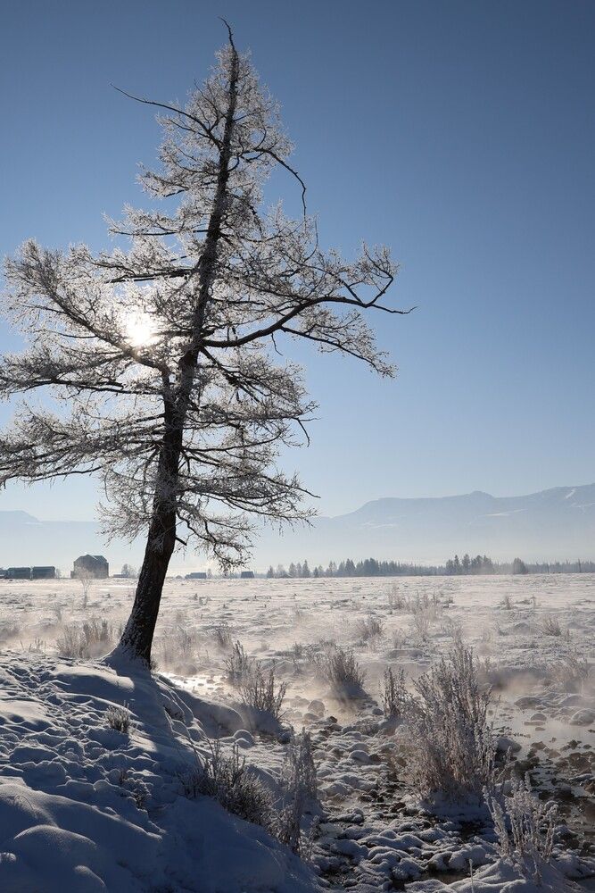 Зимнее солнце.