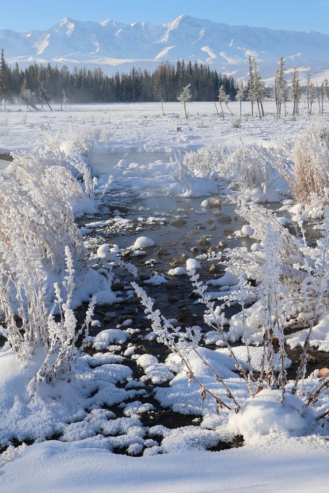 Снежный Алтай.
