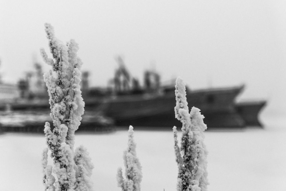 Photograph by Алексей Ч.