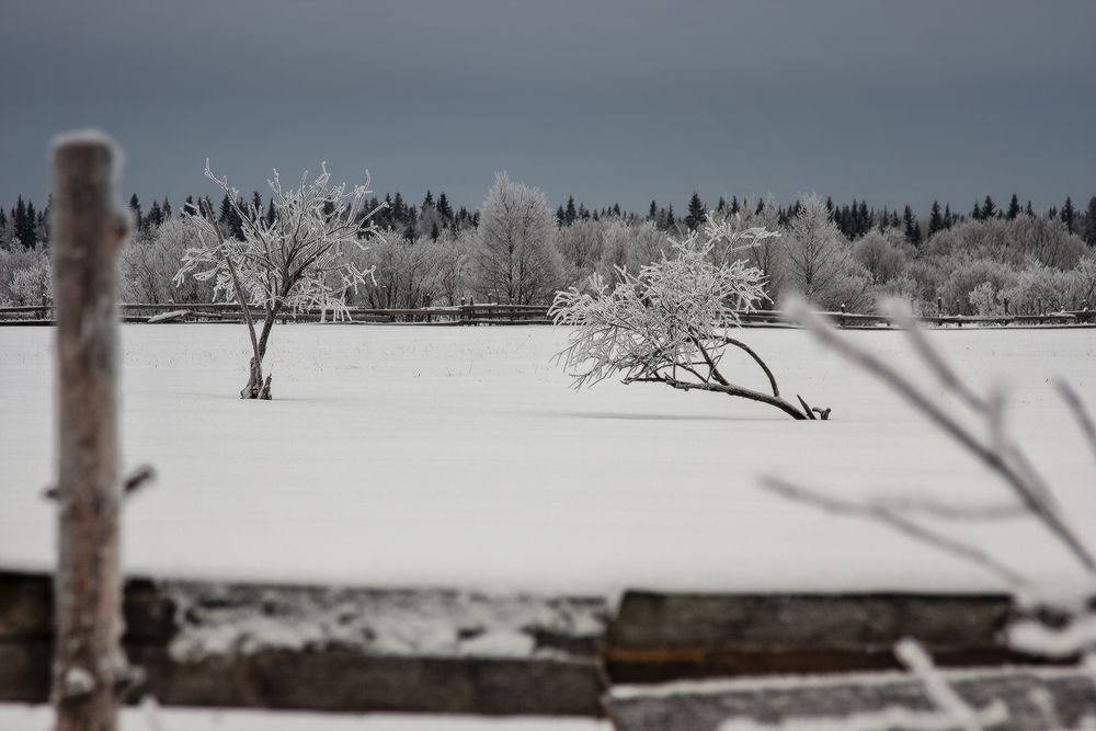 Photograph by Сергей Олюков